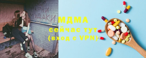амф Бородино