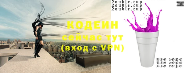 амф Бородино