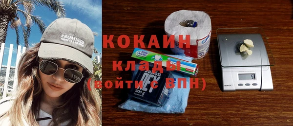 амф Бородино