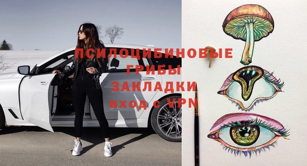амф Бородино